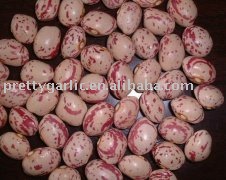 LSKB  round shape