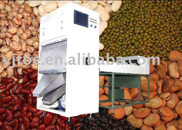 Cashew Color Sorter