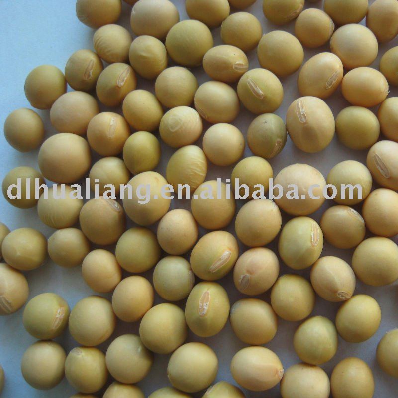 2010 Crop Round Shape Soy bean yellow colour