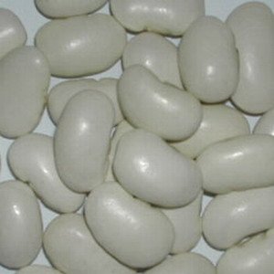 2010 new  Round   white   kidney   beans 
