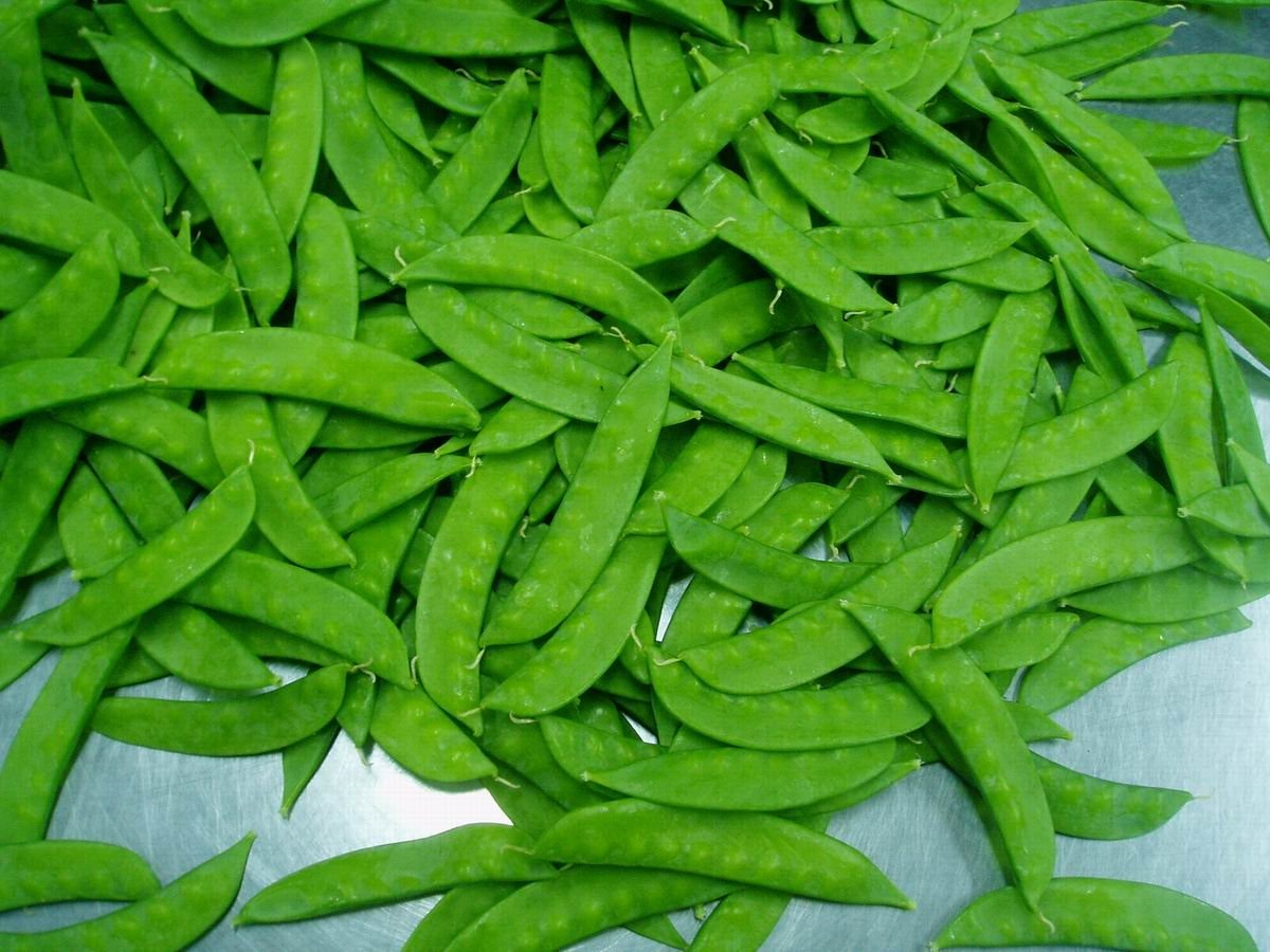  Fresh   Snow  Pea