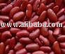  fresh   kidney   bean s