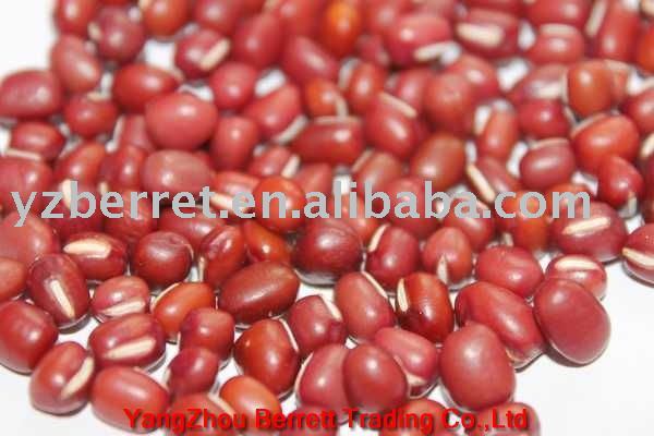 red bean,China price supplier - 21food