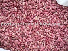red speckled kidney beans