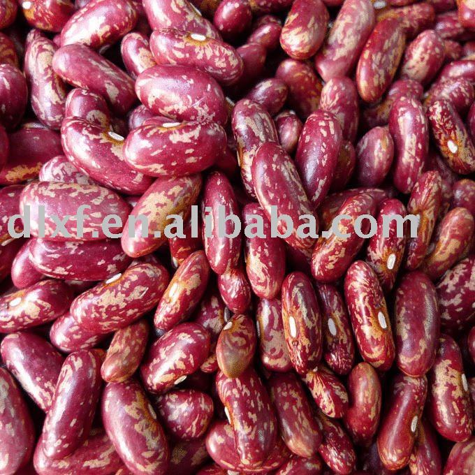 Purple/red speckled Kidney beans 2010