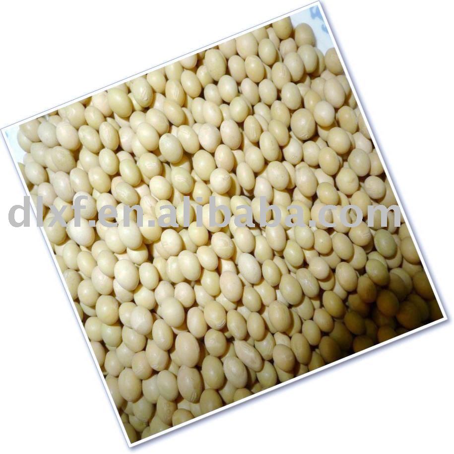 China Non-Gmo soya bean  2010