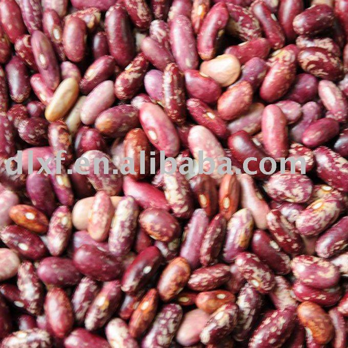Purple/red speckled Kidney beans
