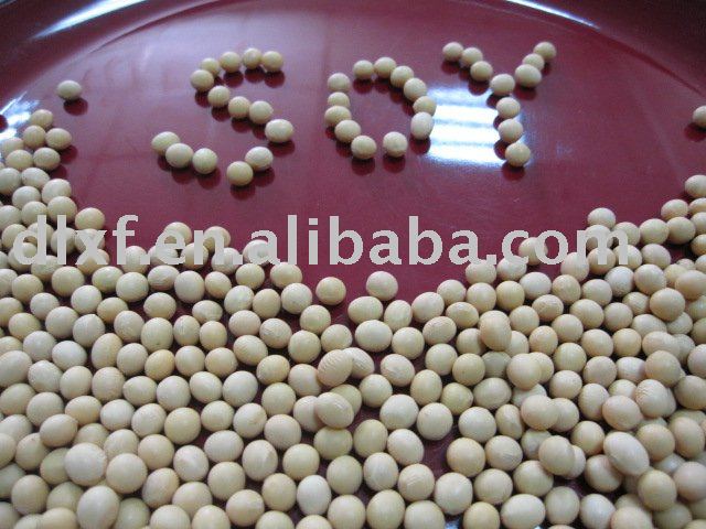 Non-Gmo yellow soybeans/soya bean