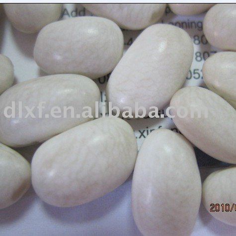  baishake   white   kidney   bean 