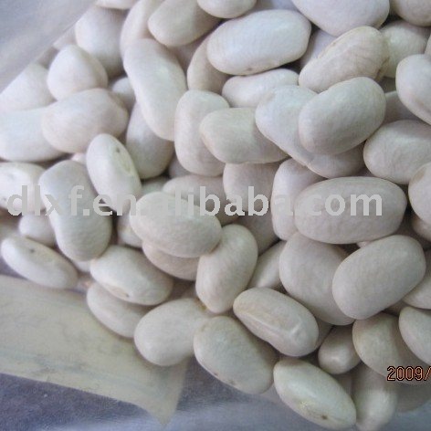 white kidney bean big size