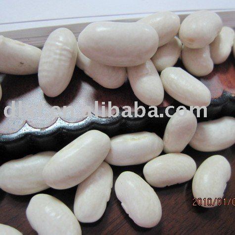 Japanese white kidney bean/baishake white kidney bean/small white kidney bean