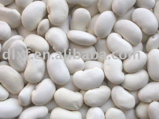 large white  Kidney   Bean / big   size 