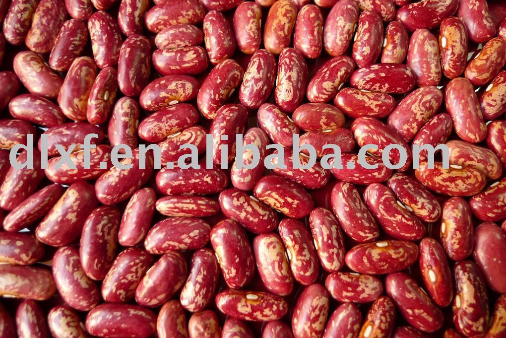 Red speckled kidney bean (09 crop)