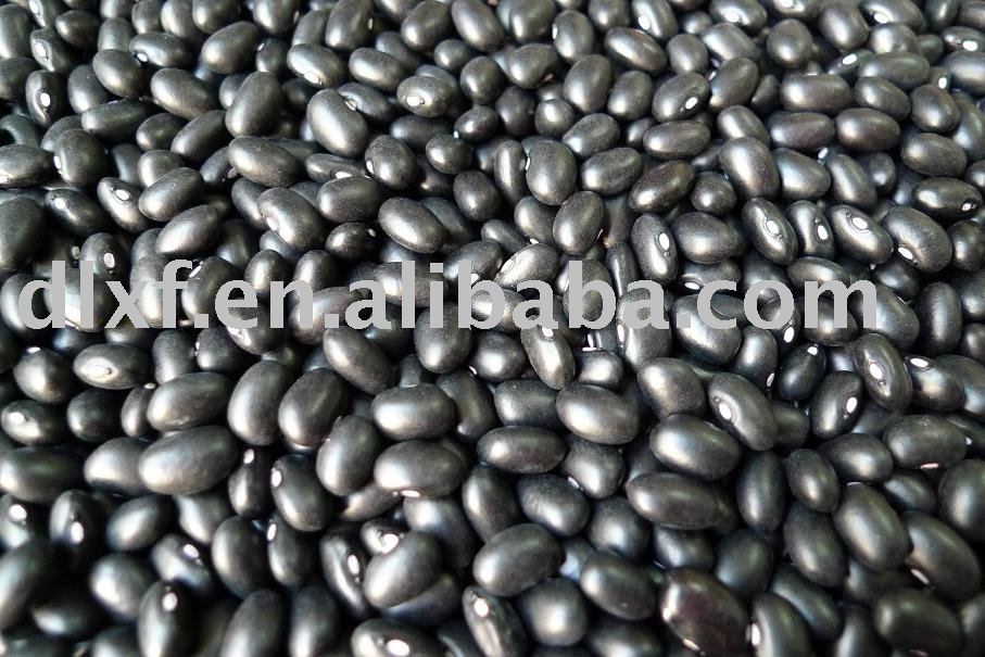 Black Kidney  bean    HPS or machine cleaned