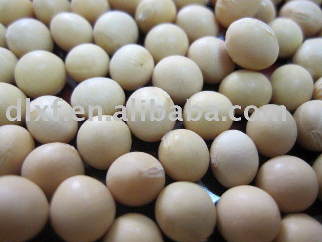 soya bean /non-gmo type