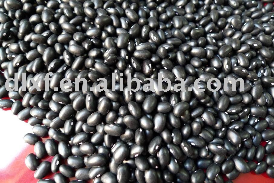Black Kidney  bean  HPS OR  Machine  picked