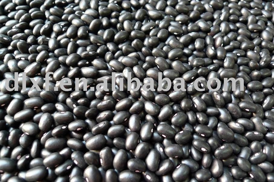 Black Kidney  bean  HPS OR Machine cleaned