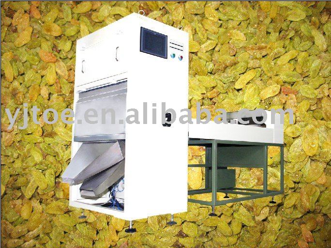 Raisin Color Sorter