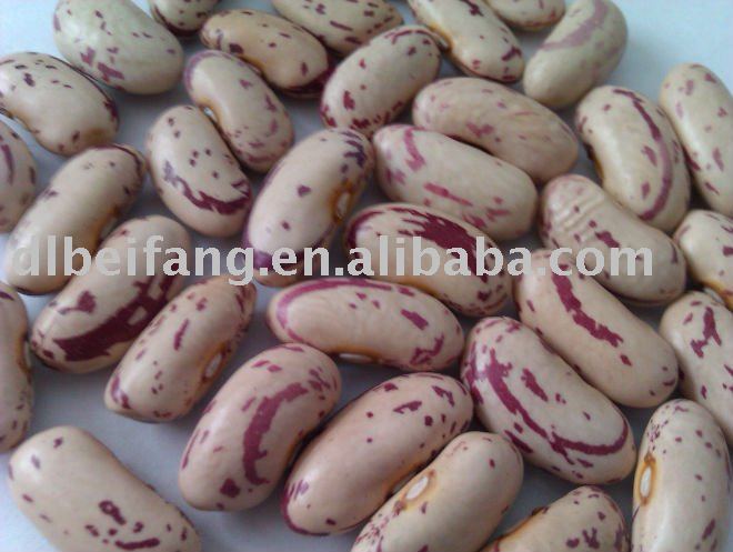 Light Speckled Kidney Bean(2010 crop , Heilongjiang Origin, Hps)