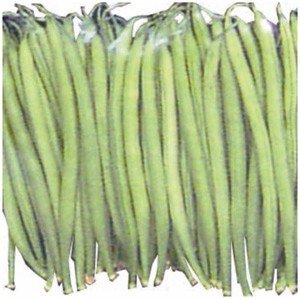 Kenya Fine Beans