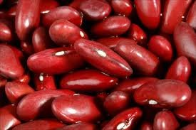 Kidney Beans for export