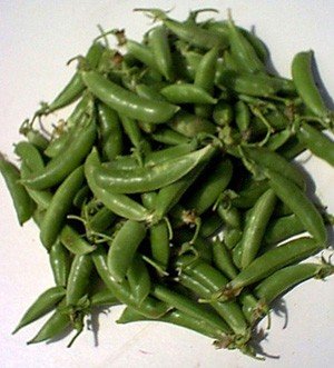 Sugarsnaps (Peas)