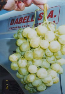 Imperial Seedless Grape
