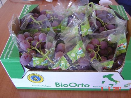 Bio Grapes