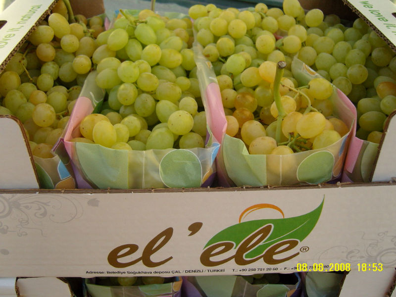 Sultana Grape