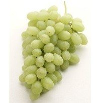 Table   Edible  Grape  Vines :Calmeria  Green   Grape 