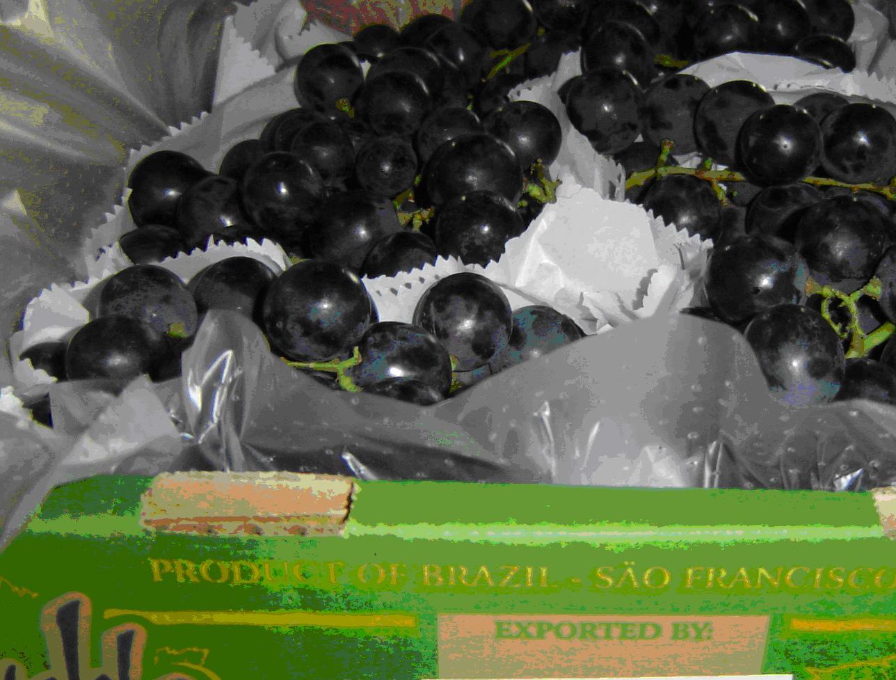 Grapes-Alphonse  Laval le