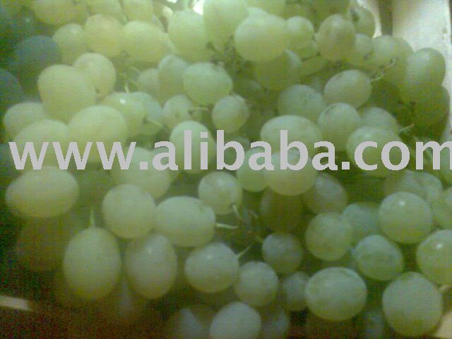 White Grape