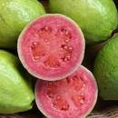 yellow fresh guava