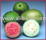 Guava
