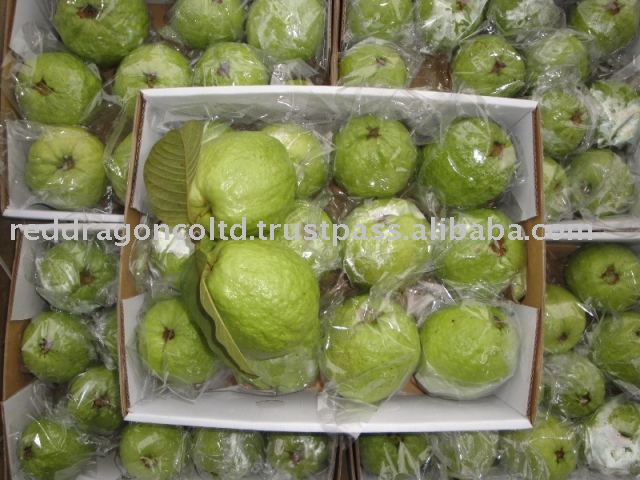 Guava