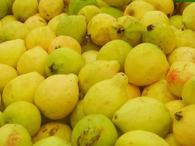guava