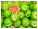 GUAVA FRUIT