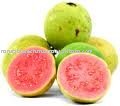  red   guava 