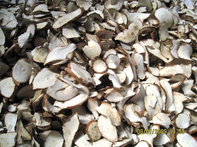 Tapioca chips from Vietnam