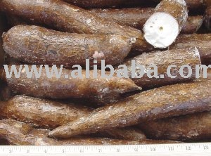 Cassava Fresh and parafin