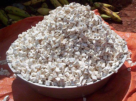 CASSAVA