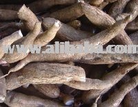 DRY CASAVA