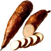 Cassava