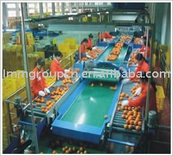 industrial production line stainless steel mesh belt conveyor system