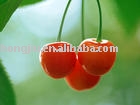  Cherry   pit 