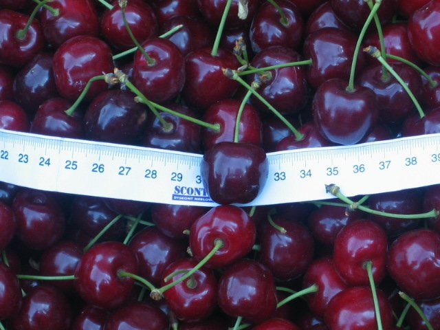 Sweet cherries form Poland