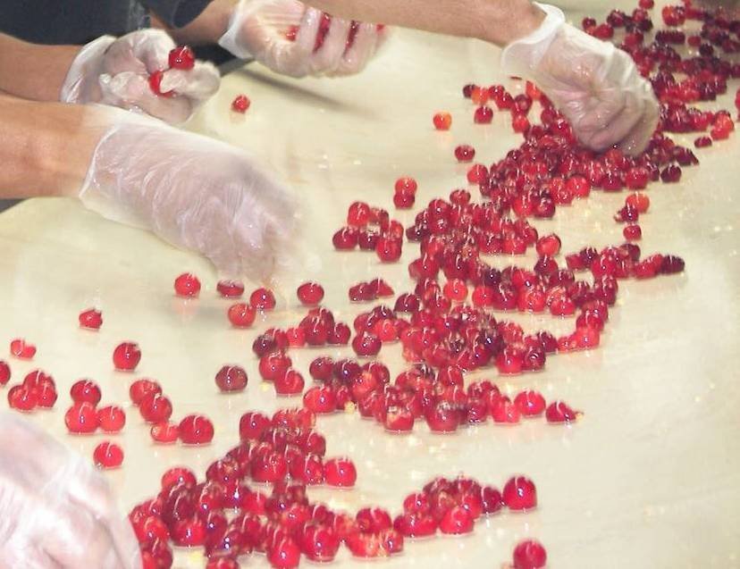 Tart   Cherries 
