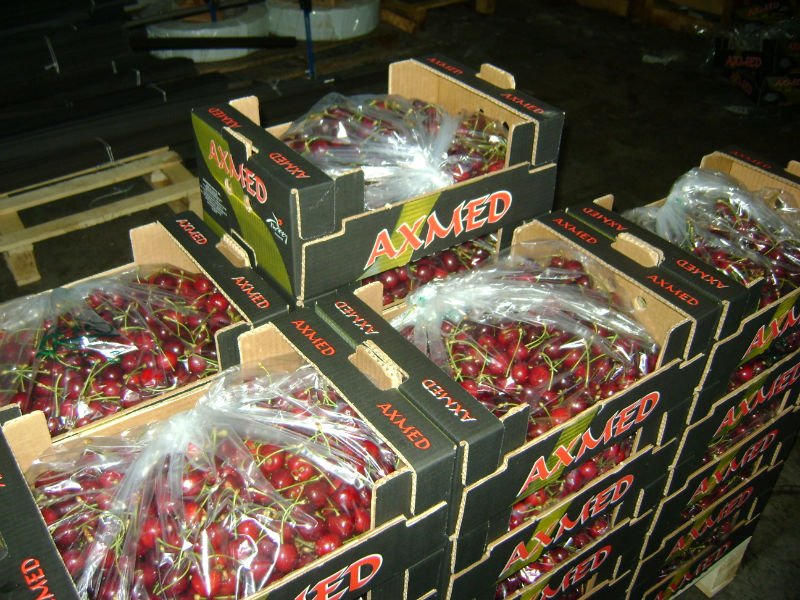  FRESH   RED   CHERRY 