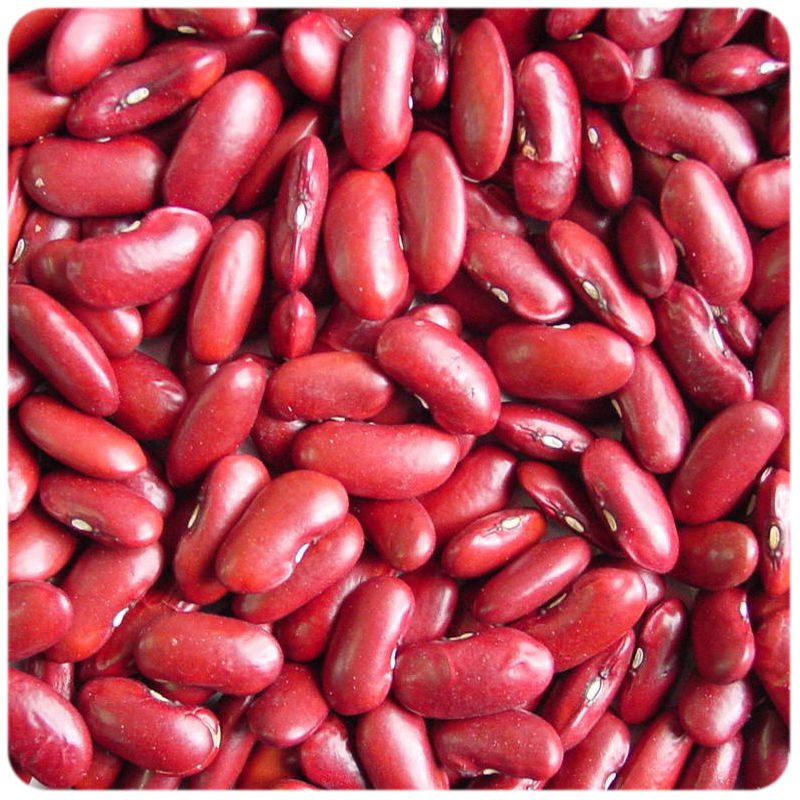 red-bean-vietnam-price-supplier-21food