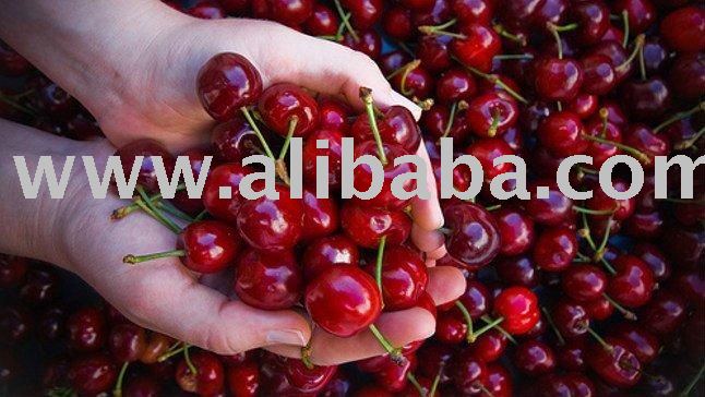 FRESH CHERRIES